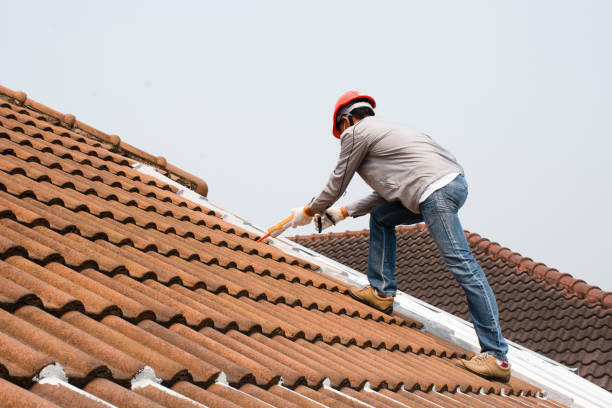 Best Sheet Metal Roofing  in Leesburg, GA